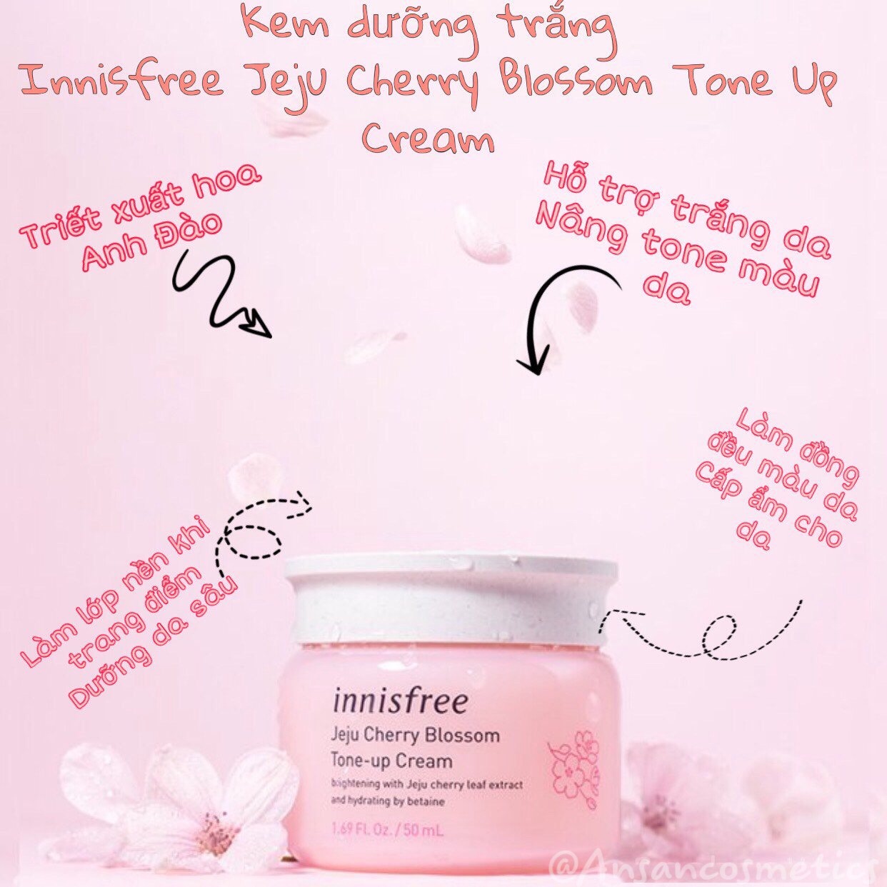 Kem Dưỡng Nâng Tông Da Innisfree Jeju Cherry Blossom